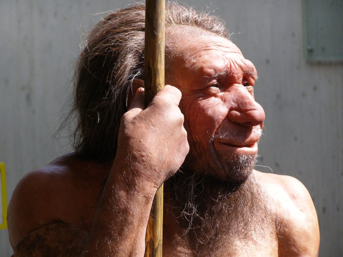 neanderthaler