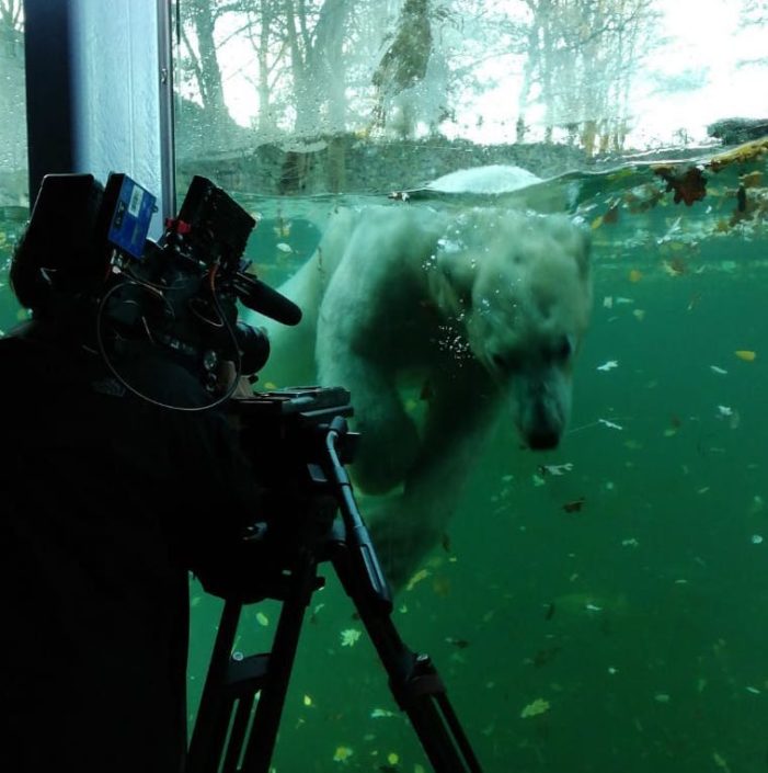 echte leven in de dierentuin